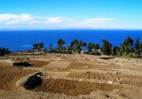 Lago Titicaca