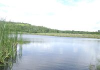 Laguna Andiviela Laguna Andiviela