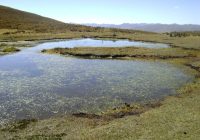 Laguna de Cochapiteg Laguna de Cochapiteg