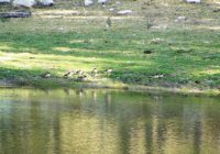 Laguna Iticocha