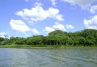 Laguna Pimientacocha Laguna Pimientacocha