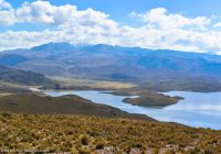 Lagunillas