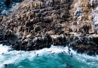 Las Loberas de Nuevo Chimbote