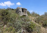 Las Torres Cutaxi – 1