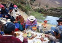 Limpia Acequia en Huaros