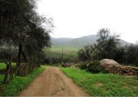 Lomas de Atiquipa y Taimara Lomas de Atiquipa y Taimara