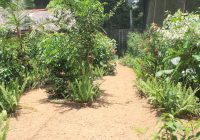 Mariposario Tambopata.