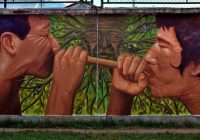 Murales de Arte Amazonico Murales de Arte Amazonico