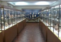 Museo Amano