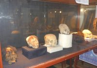Museo de Arqueología de la Universidad Nacional José Faustino Sánchez Carrión Museo de Arqueología de la Universidad Nacional José Faustino Sánchez Carrión