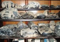 Museo de Piedras Grabadas