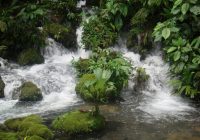 Naciente del Río Negro Naciente del Río Negro