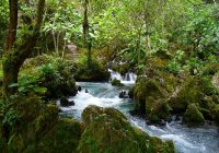 Naciente del Río Tioyacu Naciente del Río Tioyacu