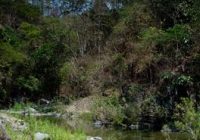 Parque Nacional Cerros de Amotape – Sector Quebrada la Angostura Parque Nacional Cerros de Amotape – Sector Quebrada la Angostura