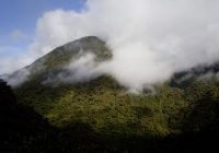 Parque Nacional del Manu Parque Nacional del Manu