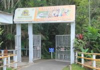 Parque Turístico de Quistococha
