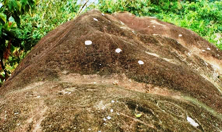 Petroglifos de Alto Chavini
