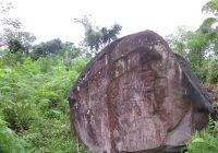 Petroglifos de Panguana