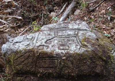 Petroglifos de Vaqueria