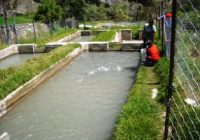 Piscigranja de Pulum