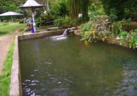 Piscigranja la Cumbre Piscigranja la Cumbre