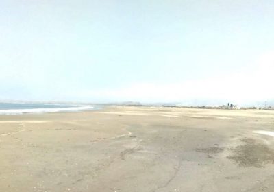 Playa Caleta Vidal