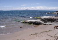 Playa de Huencalla