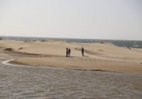 Playa el Amor Playa el Amor