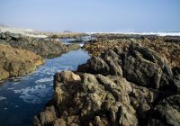 Playa Pocoma