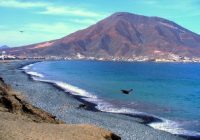 Playa Tortugas