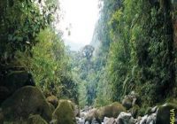 Quebrada Amojao Quebrada Amojao