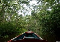 Reserva Ecológica Santa Elena
