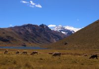 Reserva Paisajistica Nor Yauyos – Cochas Reserva Paisajistica Nor Yauyos – Cochas