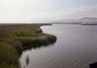Santuario Nacional Lagunas de Mejía Santuario Nacional Lagunas de Mejía