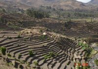 Sistemas de Andenerías de Andamarca Sistemas de Andenerías de Andamarca