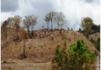 Sitio Arqueológico de Casual