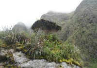 Sitio Arqueológico de Chichacori Sitio Arqueológico de Chichacori