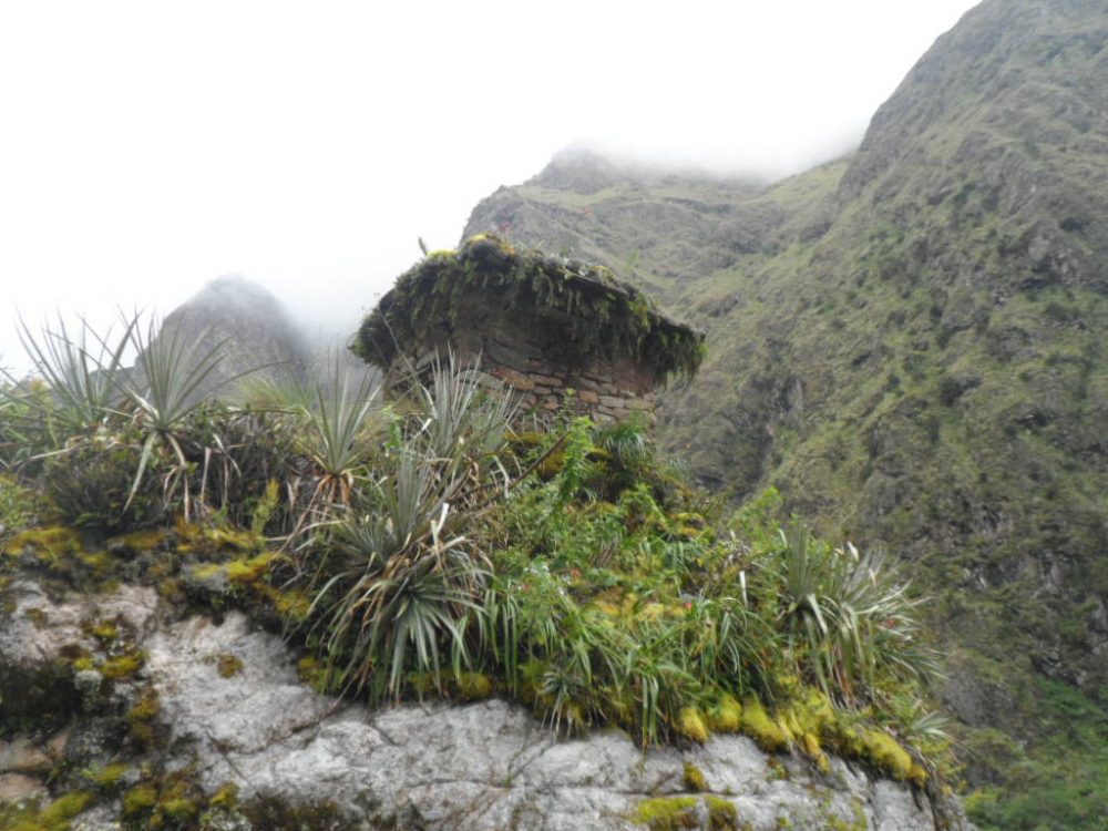 Sitio Arqueológico de Chichacori