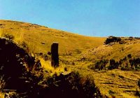 Sitio Arqueológico de Mallkuamaya Sitio Arqueológico de Mallkuamaya