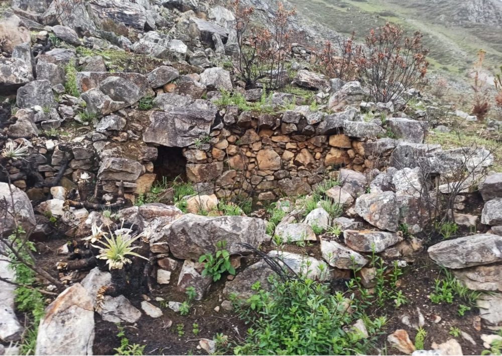 Sitio Arqueologico de Palma Cruz