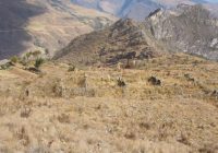 Sitio Arqueológico Manchac Sitio Arqueológico Manchac
