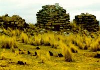 Sitio Arqueologico Maucallacta