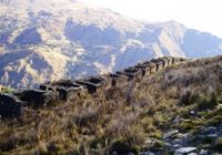 Sitio Arqueológico Selmín Granero Sitio Arqueológico Selmín Granero