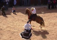 Tardes Taurinas Tardes Taurinas