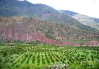 Valle de San Miguel