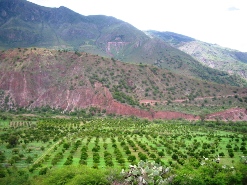 Valle de San Miguel