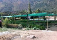 Vivero Municipal Vivero Municipal