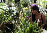 Vivero Orquideas Amazónicas