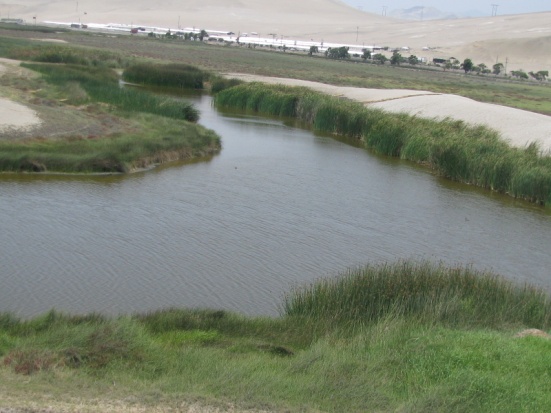 Zona Reservada Humedales de Puerto Viejo